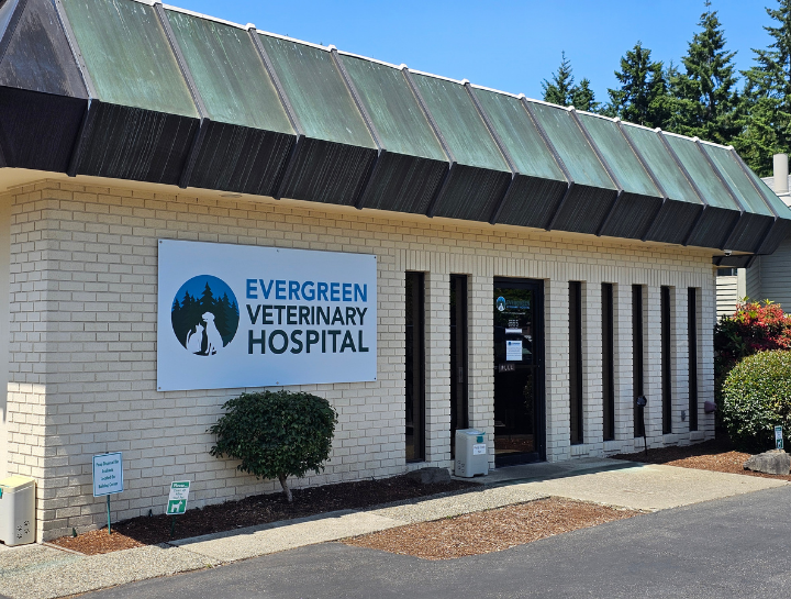 Kirkland Pet Hospital